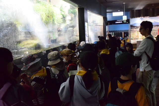 水族館