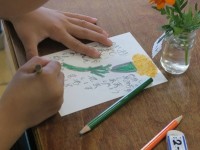 2年生 絵手紙教室